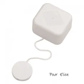Boîte à musique - Mécanisme à ressort "Pour Elise"