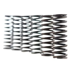 Kit ressort FERODO FSS0411