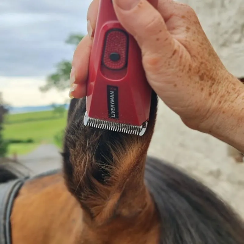 Tondeuse de finition batterie Nova Trimmer Liveryman - Equestra