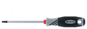 Tournevis Var Torx T25